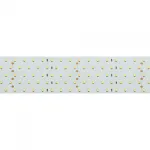 Arlight Светодиодная лента RT 2-2500 24В Cool 8K 5x2 2835 875 LED LUX 36 Вт/м IP20 019083(1)