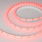 Лента CSP-X840-12mm 24В RGBW-White 17.2 В/м IP20 5м Arlight 046935