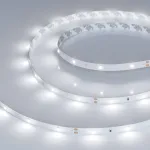 Arlight Лента RT-A30-8mm 24В White6000 2.9 В/м IP20 2835 5м 019917(2)
