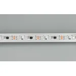 Arlight Лента SPI-B60-10mm 12В RGB-PX3 14.4 В/м IP20 5060 5м IP20 026367(2)