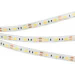 Arlight Лента герметичная RTW-SE-B60-10mm 12В Day4000 14.4 В/м IP65 5060 5м 14.4 Вт/м IP65 015453(2)