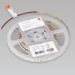 Arlight Лента RZ-A120-6mm 24В White6000 9.6 В/м IP20 2835 5м 040803