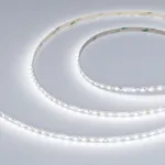 Arlight Лента RZ-A120-6mm 24В White6000 9.6 В/м IP20 2835 5м 040803