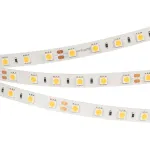 Arlight Лента RT-B60-10mm 24В White6000 14.4 В/м IP20 5060 5м 14.4 Вт/м IP20 008829(2)