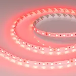Arlight Лента RT-B60-10mm 24В Red 14.4 В/м IP20 5060 5м 008817(2)
