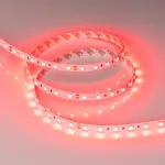 Arlight Лента RT-B60-10mm 24В Red 14.4 В/м IP20 5060 5м 008817(2)