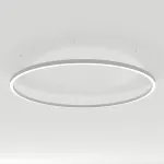 Arlight Светильник SP-LINE-HANG-ARC-O3535-D1500-124Вт Day4000 WHITE 230В Металл 034013(2)