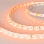 Arlight Светодиодная лента RT-A60-8mm 12В Orange 4.8 В/м IP20 2835 5м 013568(2)