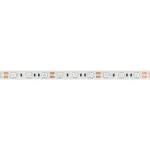 Arlight Лента RT-B60-10mm 12В Blue 14.4 В/м IP20 5060 5м 012336(2)