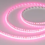Лента RT-A120-8mm 24В Pink 9.6 В/м IP20 2835 5м Arlight 043380