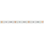 Arlight Лента RT-B60-10mm 12В Blue 14.4 В/м IP20 5060 5м 012336(2)
