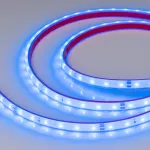 Arlight Лента герметичная RTW-PFS-A60-11mm 24В Blue 4.8 В/м IP68 2835 5м 034160