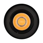 Arlight Светильник SP-FOCUS-R132-24Вт Warm3000 BK 24 deg 230В IP54 054811