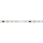 Arlight Лента DMX-B60-10mm 24В RGBW-PX6 18 В/м IP20 5060 5м 033449