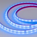 Arlight Лента герметичная RTW-PFS-A60-11mm 24В Blue 4.8 В/м IP68 2835 5м 034160