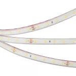 Arlight Лента герметичная RTW-PFS-A60-11mm 24В Blue 4.8 В/м IP68 2835 5м 034160
