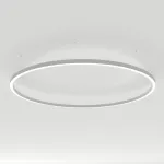 Arlight Светильник SP-LINE-HANG-ARC-O3535-D1500-124Вт Day4000 WHITE 230В Металл 034013(2)