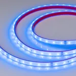 Arlight Лента герметичная RTW-PFS-A60-11mm 24В Blue 4.8 В/м IP68 2835 5м 034160