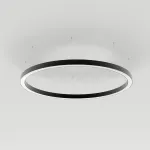 Arlight Светильник SP-LINE-HANG-ARC-O3535-D800-65Вт Warm3000 BLACK 230В Металл 034004(1)
