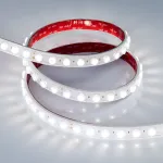 Arlight Лента герметичная FLT-PS-A42-23mm 24В White6000 21 В/м IP67 30deg 5м 040917