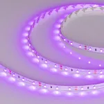 Arlight Лента RT-A60-8mm 12В Pink 4.8 В/м IP20 2835 5м 4.8 Вт/м IP20 013571(2)