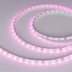 Arlight Лента RT-A60-8mm 12В Pink 4.8 В/м IP20 2835 5м 4.8 Вт/м IP20 013571(2)