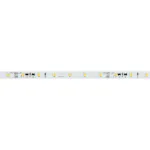 Arlight Лента IC-A60-8mm 24В Day4000 4.8 В/м IP20 2835 10м стабилизированная 037956