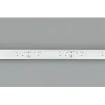 Arlight Лента COB-X768-12mm 24В RGBW-White 15 В/м IP20 CSP 5м 041787