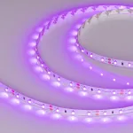 Arlight Лента RT-A60-8mm 12В Pink 4.8 В/м IP20 2835 5м 4.8 Вт/м IP20 013571(2)