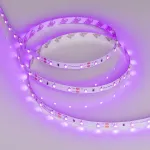 Arlight Лента RT-A60-8mm 12В Pink 4.8 В/м IP20 2835 5м 4.8 Вт/м IP20 013571(2)