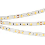Arlight Лента RT-B60-10mm 24В Cool 8K 14.4 В/м IP20 5060 5м 14.4 Вт/м IP20 013757(2)
