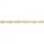 Arlight Лента герметичная COB-PS-X544-10mm 24В White6000 11.5 В/м IP67 CSP 5м 031907(2)