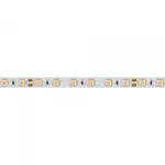 Arlight Лента RT-B60-10mm 24В Cool 8K 14.4 В/м IP20 5060 5м 14.4 Вт/м IP20 013757(2)
