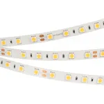 Arlight Лента RT-B60-10mm 24В Cool 8K 14.4 В/м IP20 5060 5м 14.4 Вт/м IP20 013757(2)