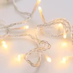 Arlight Светодиодная гирлянда ARD-STRING-HOME-5000-CLEAR-50LED-STD WARM 230В 3.5Вт Ardecoled IP20 025749