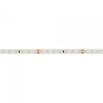 Arlight Лента RT-A98-8mm 24В Cool 8K 10 В/м IP20 2835 5м 10 Вт/м IP20 019912(2)