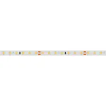 Arlight Лента RT-A98-8mm 24В Cool 8K 10 В/м IP20 2835 5м 10 Вт/м IP20 019912(2)