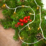 Arlight Светодиодная гирлянда ARD-STRING-HOME-5000-CLEAR-50LED-STD WARM 230В 3.5Вт Ardecoled IP20 025749