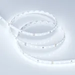 Arlight Лента RT-A98-8mm 24В Cool 8K 10 В/м IP20 2835 5м 10 Вт/м IP20 019912(2)