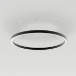 Arlight Светильник SP-LINE-HANG-ARC-O3535-D800-65Вт Day4000 BLACK 230В Металл 034007(2)