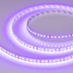 Лента RT-A120-8mm 24В Violet 9.6 В/м IP20 2835 5м Arlight 043384