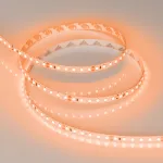 Arlight Лента RT-A120-8mm 24В Orange 9.6 В/м IP20 2835 5м 015896(2)