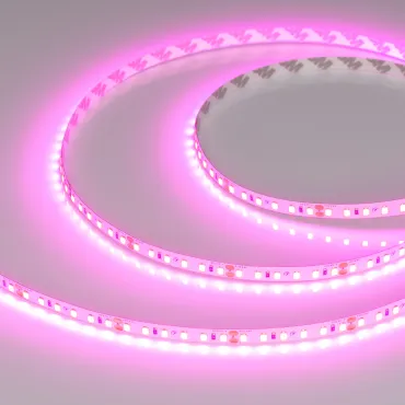 Лента RT-A120-8mm 24В Magenta 9.6 В/м IP20 2835 5м Arlight 043381