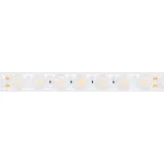 Arlight Лента герметичная FLT-PS-A42-23mm 24В Day4000 21 В/м IP67 30deg 5м 037728