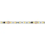 Arlight Лента SPI-B60-10mm 24В White6000-PX6-RAM 15 В/м IP20 5060 5м 039038