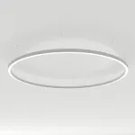 Arlight Светильник SP-LINE-HANG-ARC-O3535-D3000-250Вт Day4000 WHITE 230В Металл 034077(1)