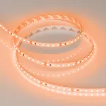 Arlight Лента RT-A120-8mm 24В Orange 9.6 В/м IP20 2835 5м 015896(2)