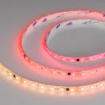 Arlight Лента герметичная SPI-SE-B60-10mm 24В RGB-PX6-BPT 12 В/м IP65 5060 5м 039601