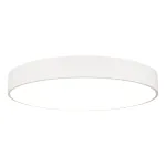 Arlight Светильник SP-TOR-PILL-PRISM-R800-94Вт Day4000 WH 100 deg 230В IP20 022133(4)