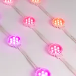Модуль управляемый SPI-F7-D50 24В RGB-RAM-Auto 1.25Вт IP68 120 deg Arlight 036826
